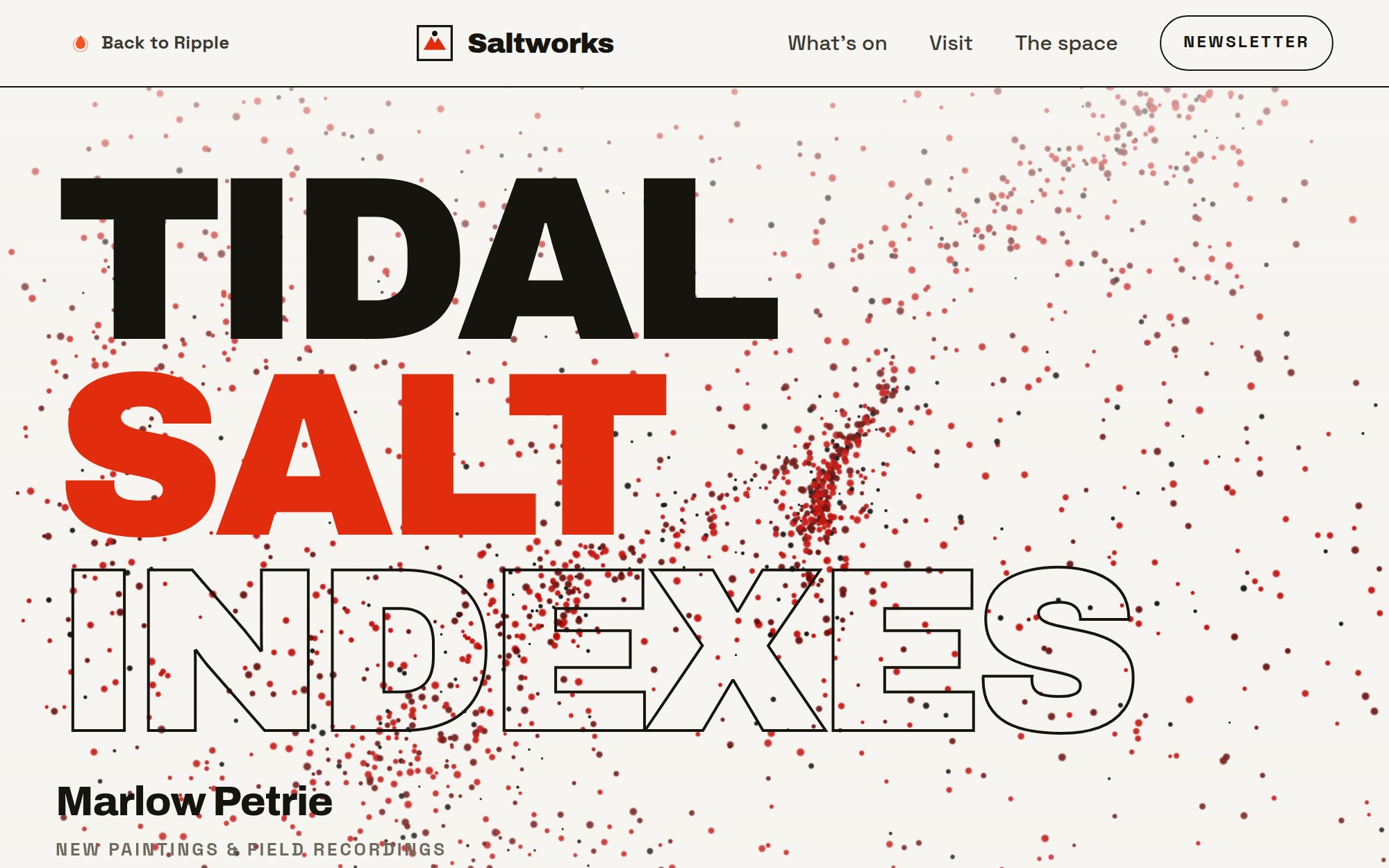 The Saltworks art gallery concept site by Ripple